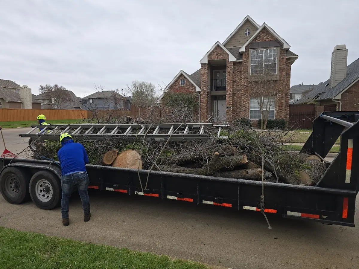 Expert Tree Fertilization with proper safety equipment in Bruceton Mills